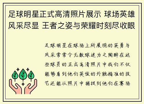 足球明星正式高清照片展示 球场英雄风采尽显 王者之姿与荣耀时刻尽收眼底