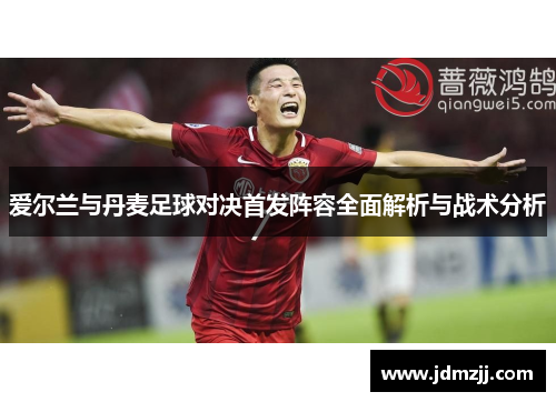 爱尔兰与丹麦足球对决首发阵容全面解析与战术分析
